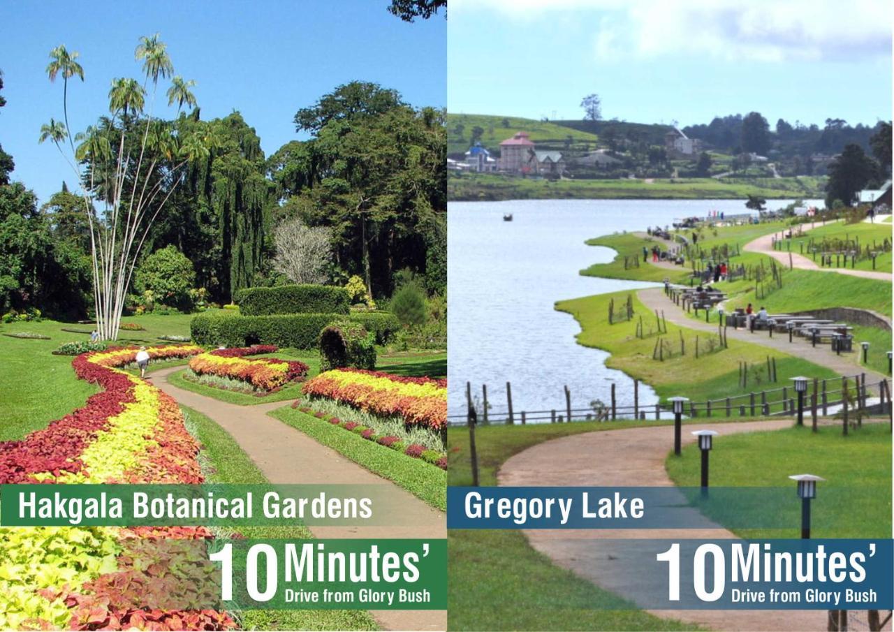 Glory Bush Boutique Villa Nuwara Eliya Luaran gambar