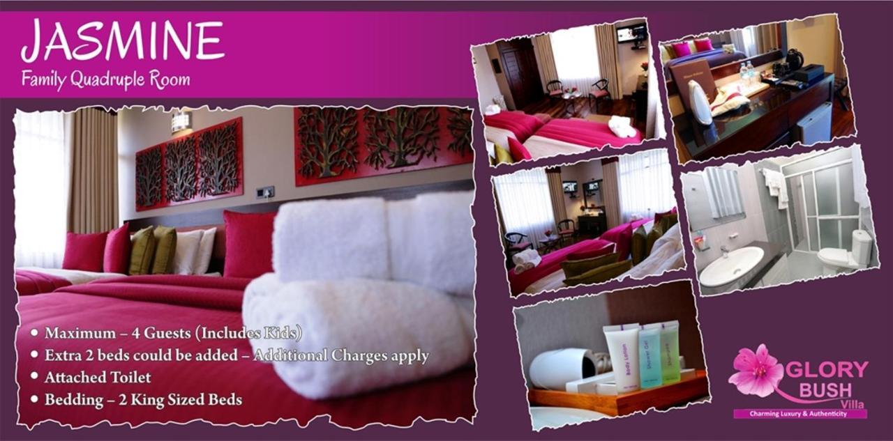 Glory Bush Boutique Villa Nuwara Eliya Luaran gambar